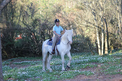 Wiviann riding her Camargue horse