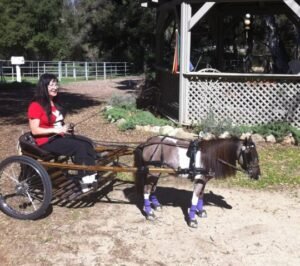 Victoria driving Pearl